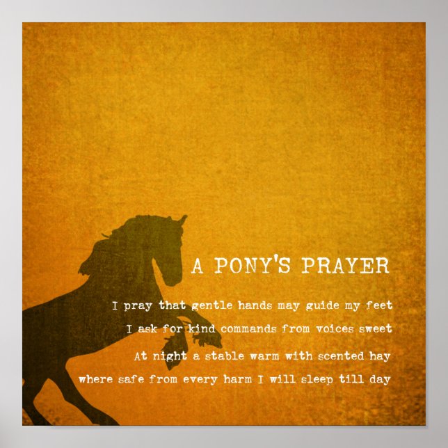 PONY PRAYER 12 x 12 Canvas Print Poster (Vorne)