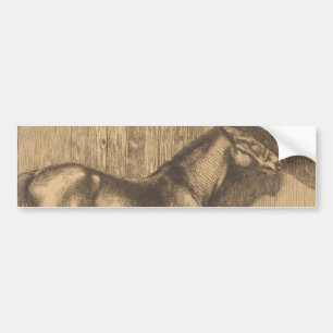 Pony-Sketch (von Paul-Albert Besnard) Autoaufkleber