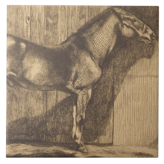 Pony-Sketch (von Paul-Albert Besnard) Fliese (Vorderseite)