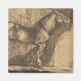 Pony-Sketch (von Paul-Albert Besnard) Magnet