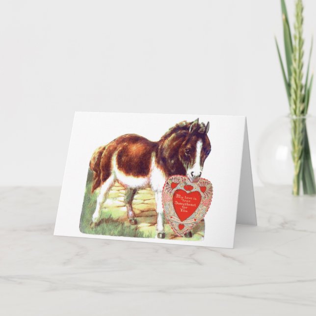 Pony-Valentinsgruß Feiertagskarte (Vorderseite)