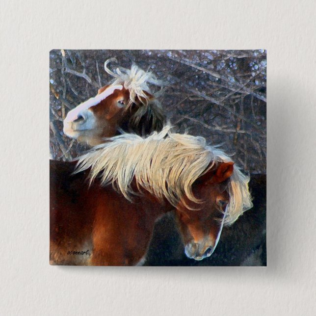 Ponys Button (Vorderseite)