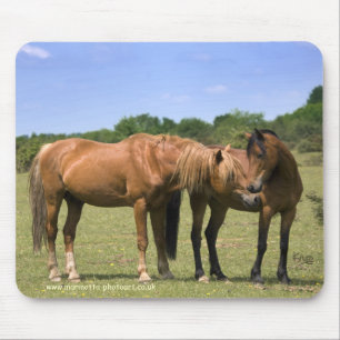 Ponys in der Liebe Mousemat Mousepad