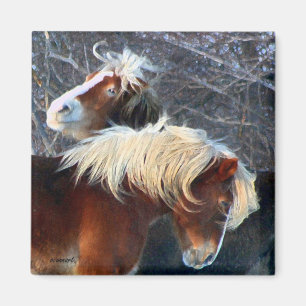 Ponys Magnet