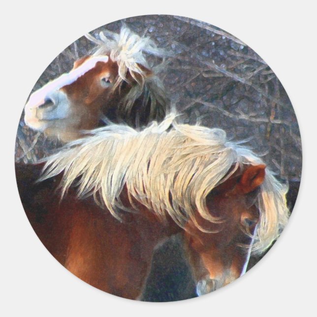Ponys Runder Aufkleber (Vorderseite)