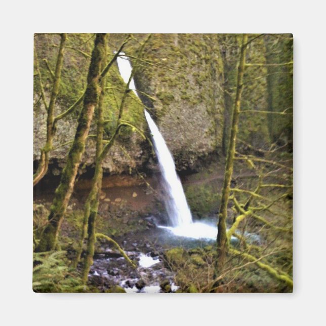Ponytail Falls, Oregon Magnet (Vorne)