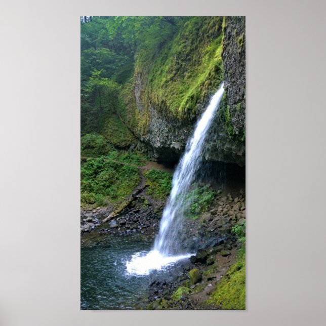 Ponytail Falls, Oregon Poster (Vorne)