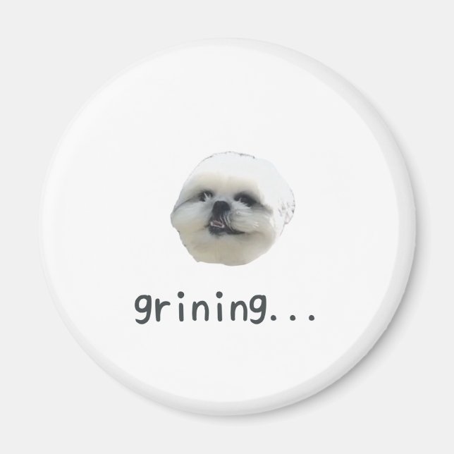 PONZU magnet (Vorne)