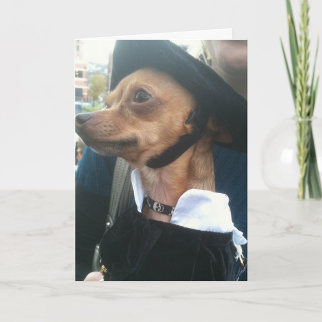 POOCH BEGS PARDON BELATED BIRTHDAY KARTE (Vorderseite)