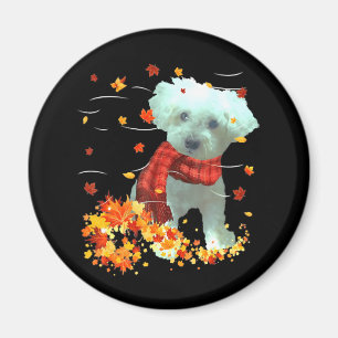 Poochon Herbstschal - Hunde Herbstlaub Magnet