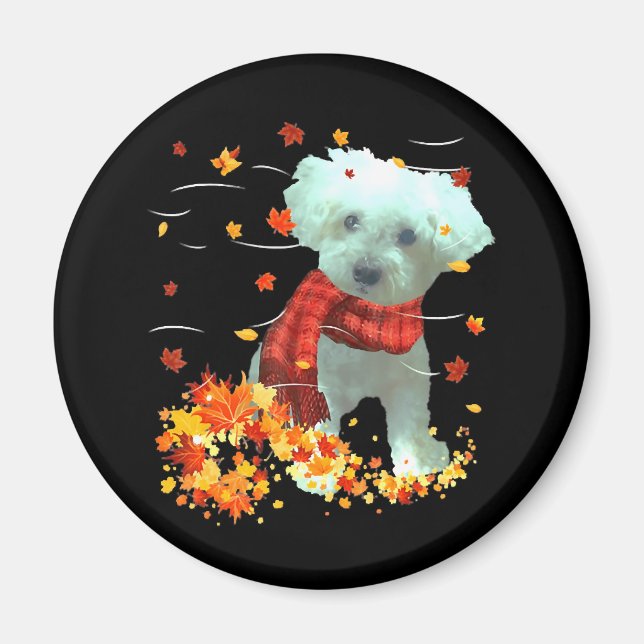 Poochon Herbstschal - Hunde Herbstlaub Magnet (Vorne)