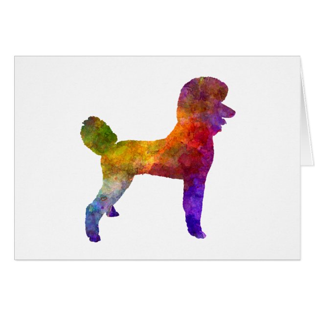 Poodle 01 in watercolor (Devant horizontal)