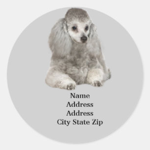 Poodle-Adressetikett Runder Aufkleber