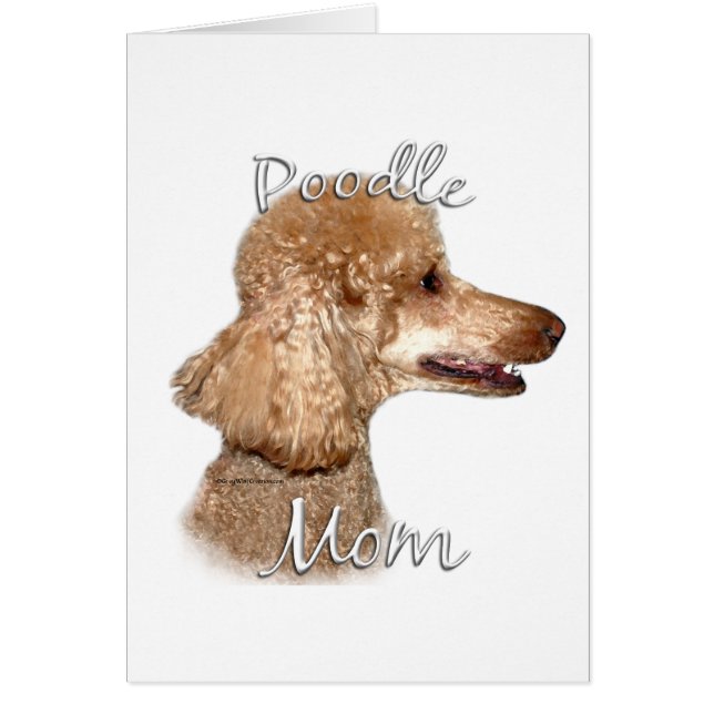 Poodle (Aprikose) Mama 2 (Vorne)