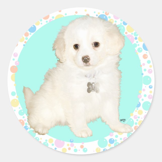 Poodle / Bichon Mix Puppy Celebrates Life Runder Aufkleber (Vorderseite)