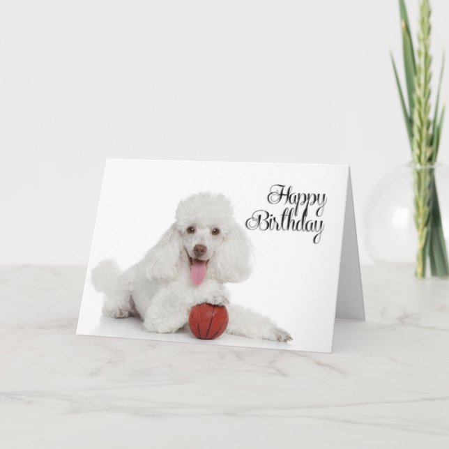 Poodle Birthday Card Karte (Vorderseite)