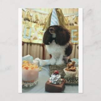 Poodle Birthday Postcard Postkarte