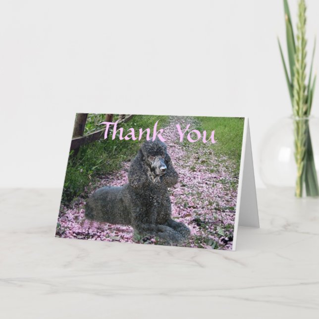 Poodle Black Danke-You-Card-Blume Dankeskarte (Vorderseite)