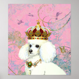 Poodle blanc Princess Hummingbird Affiche
