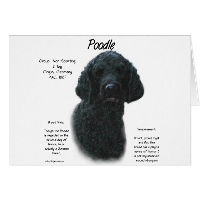 Poodle (blk) History Design (Vorderseite (Horizontal))