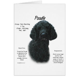 Poodle (blk) History Design
