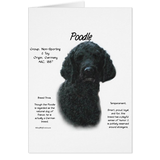 Poodle (blk) History Design (Vorne)