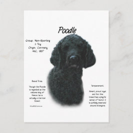 Poodle (blk) History Design Postkarte