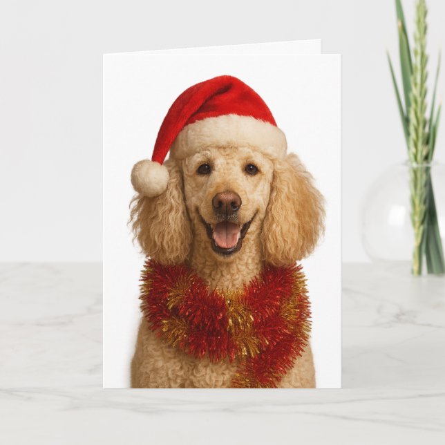 Poodle Christmas card Karte (Vorderseite)