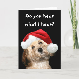 Poodle Christmas Feiertagskarte