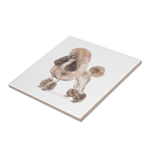 Poodle — Coat anzeigen Fliese