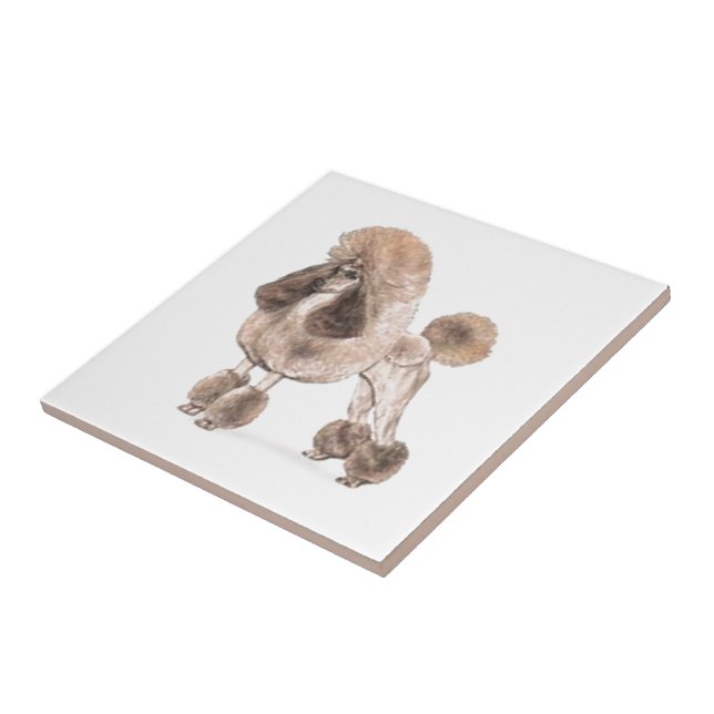 Poodle — Coat anzeigen Fliese (Seite)