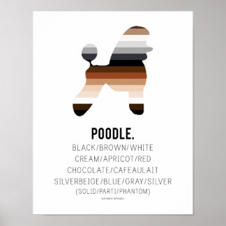 Poodle Colors Print by HUXSHOP Poster