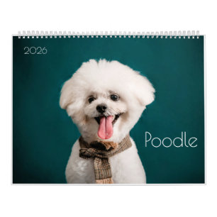 Poodle Cute Poodle Puppies 2024 Calendrier