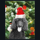 Poodle Dog Christmas Tree Snowman Red Weihnachtsma<br><div class="desc">Niedlicher Poodle Hund mit roter Weihnachtsmannmütze mit Weihnachtsbaumschneedekor im Hintergrund.</div>