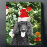 Poodle Dog Christmas Tree Snowman Red Weihnachtsma Fotoplatte<br><div class="desc">Niedlicher Poodle Hund mit roter Weihnachtsmannmütze mit Weihnachtsbaumschneedekor im Hintergrund.</div>