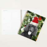 Poodle Dog Christmas Tree Snowman Red Weihnachtsma Planer<br><div class="desc">Niedlicher Poodle Hund mit roter Weihnachtsmannmütze mit Weihnachtsbaumschneedekor im Hintergrund.</div>