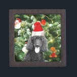 Poodle Dog Christmas Tree Snowman Red Weihnachtsma Schmuckkiste<br><div class="desc">Niedlicher Poodle Hund mit roter Weihnachtsmannmütze mit Weihnachtsbaumschneedekor im Hintergrund.</div>