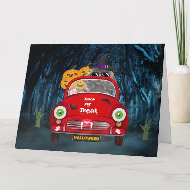 Poodle Dog Driving Car Beängstigend Halloween Karte (Vorderseite)