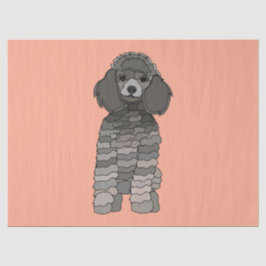 Poodle Dog Pet Seidenpapier