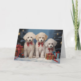 Poodle Dog Weihnachtskarte Dankeskarte