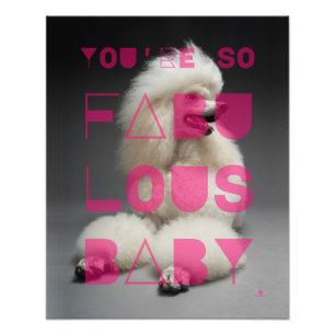 Poodle - Du bist so fabelhaftes Baby - Fotodruck