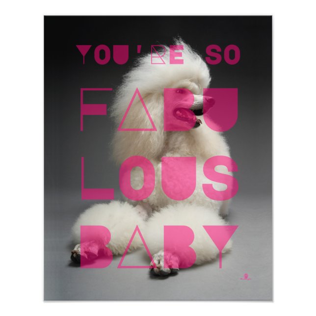 Poodle - Du bist so fabelhaftes Baby - Fotodruck (Vorne)