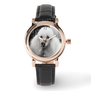Poodle en noir et blanc montre au poignet