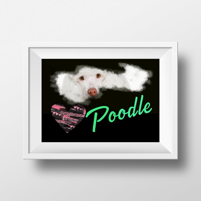 Poodle Eyes Solid Color Poster (Von Creator hochgeladen)