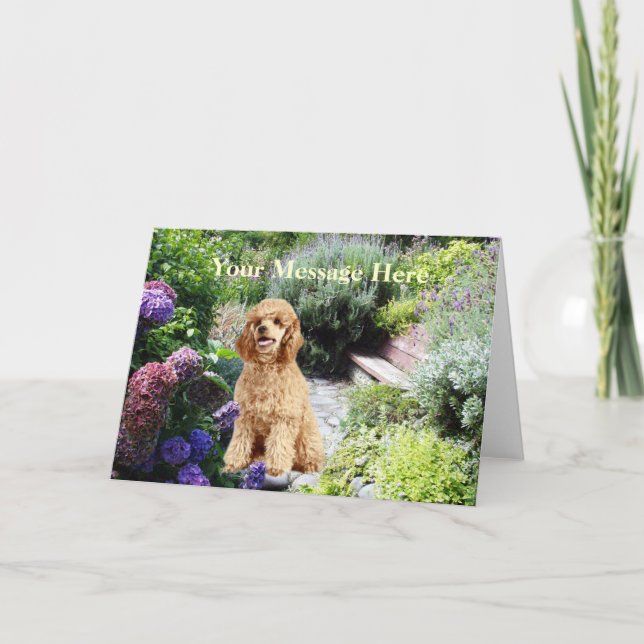 Poodle Garden Grußkarte Karte (Vorderseite)