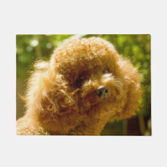 Poodle Hund. Fußmatte (Vorderseite)