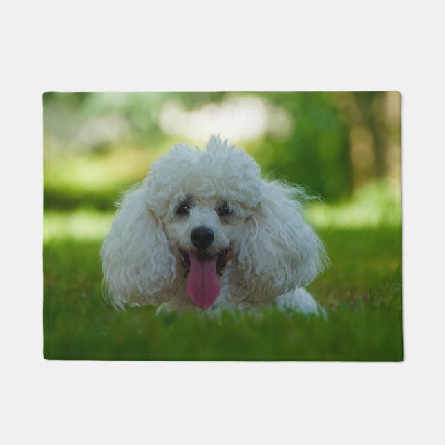 Poodle Hund. Fußmatte (Vorderseite)