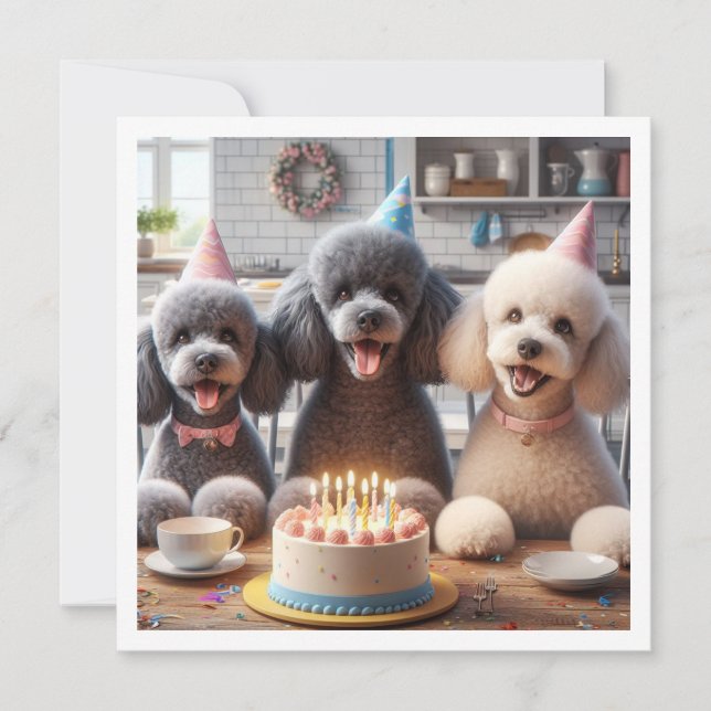 Poodle Hundkarte, Poodle Geburtstag Einladung (Vorderseite)
