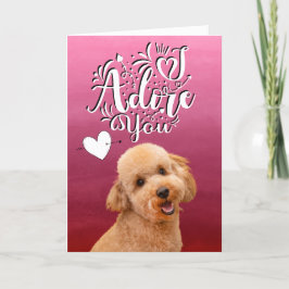 Poodle ...ich liebe Sie Valentinstag Ferienkarte Feiertagskarte