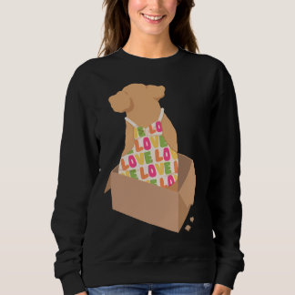 Poodle in einer Schachtel Sweatshirt